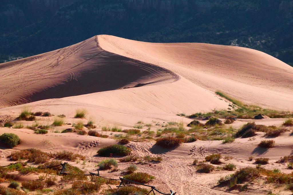 Drought Affected Land