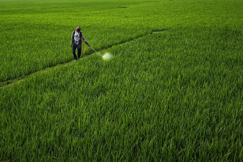 Sustainable Agriculture